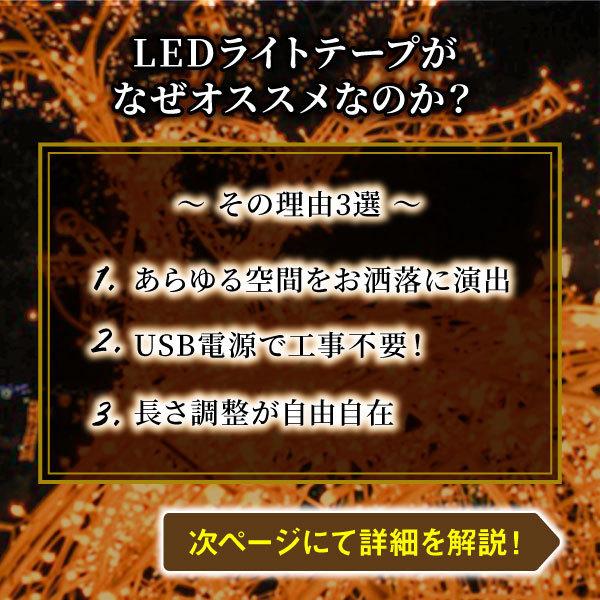 LEDテープライト 屋外 1m